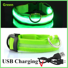 Luminous Dog Collar