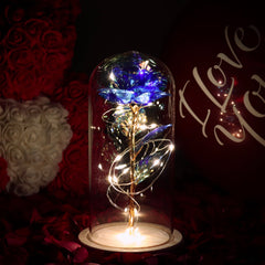 Galaxy Rose Eternal Lamp