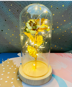 Galaxy Rose Eternal Lamp